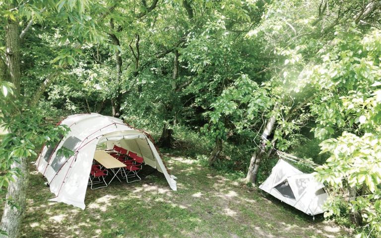 CAMPING OFFICE IWAKIのイメージ(仮)