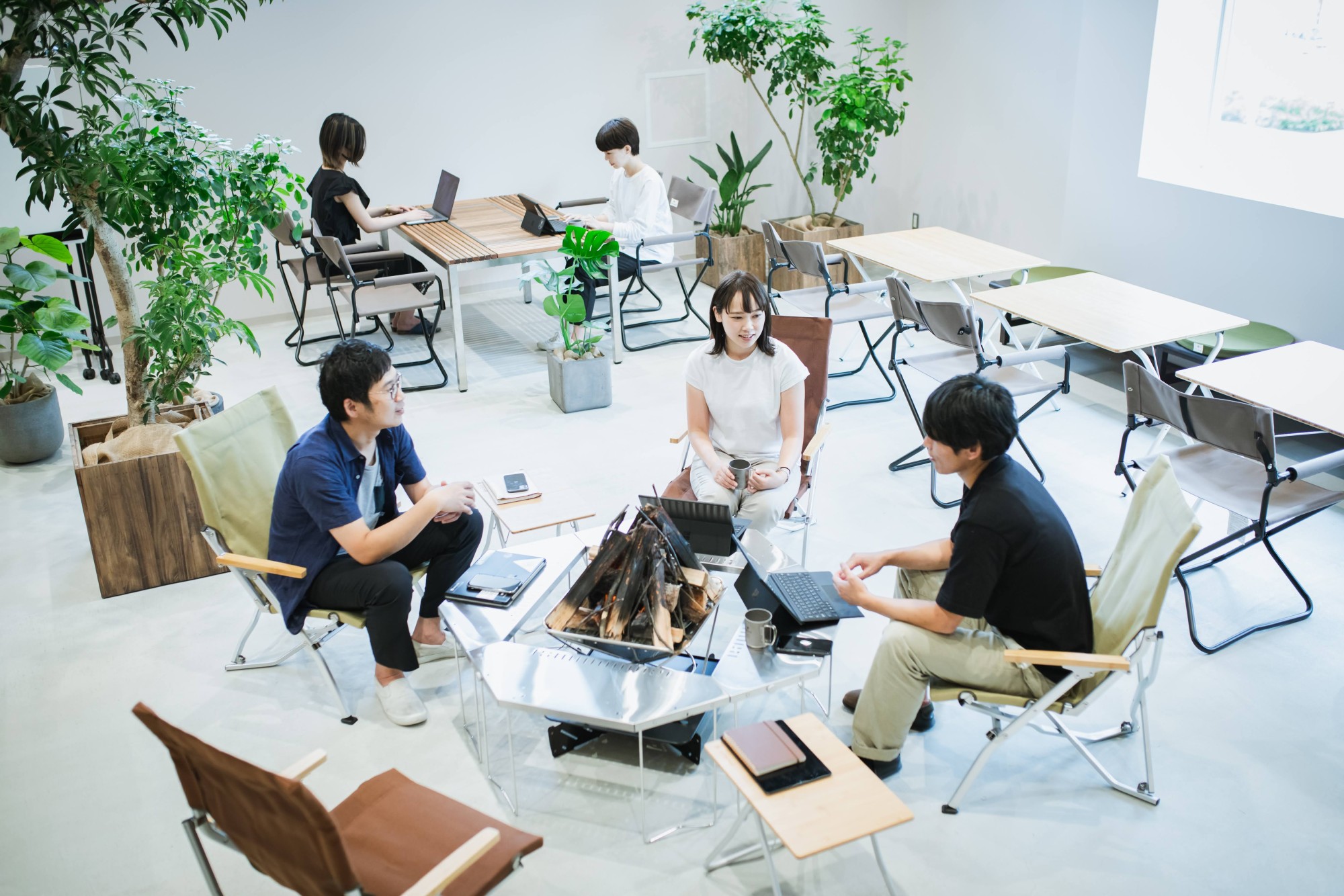 個別無料相談会